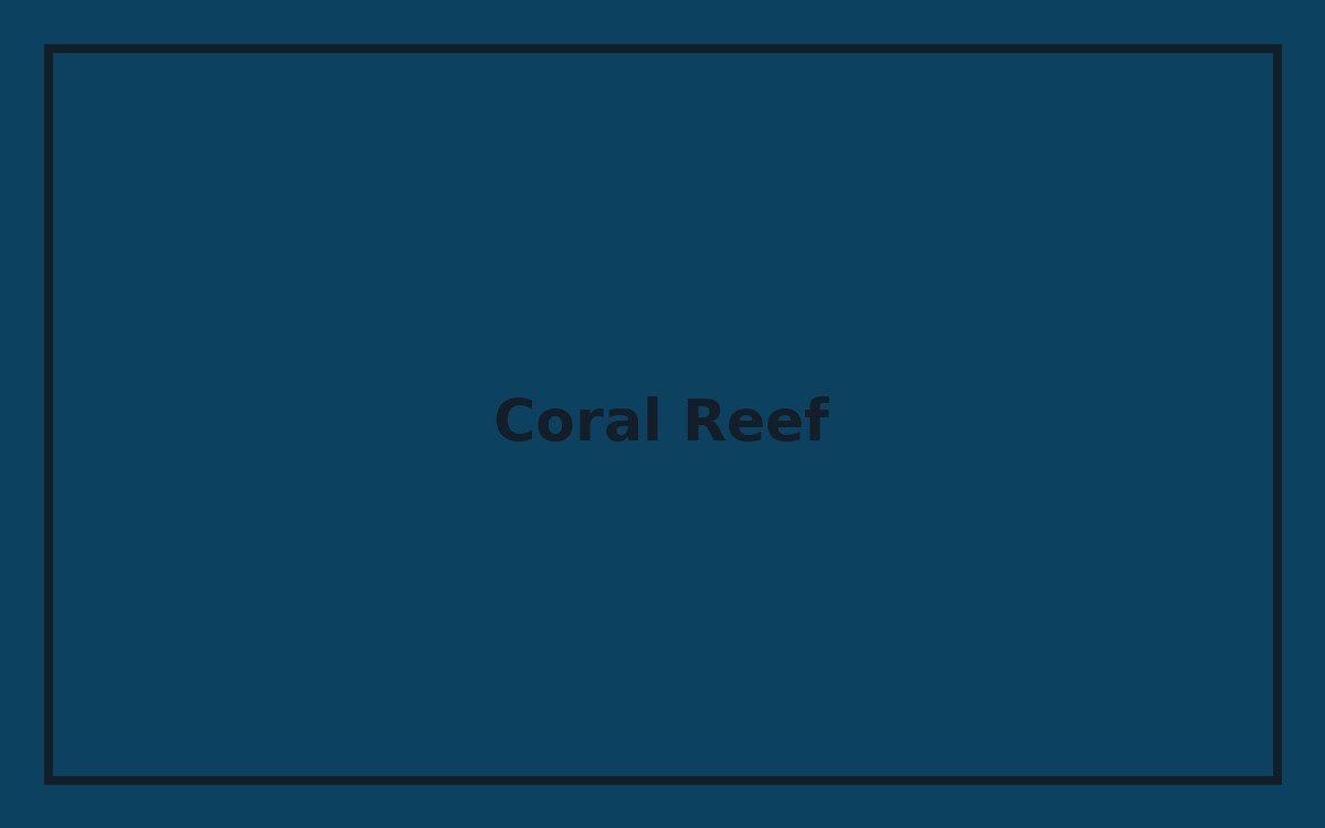 Coral reef showcase